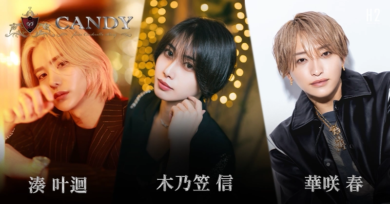 ホスト歌舞伎町｜groupdandy 公式サイト